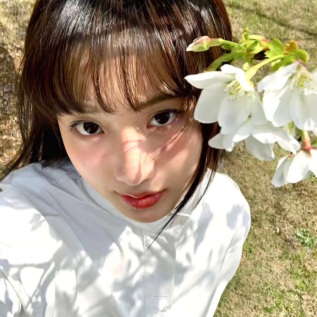 熊的乔纳森